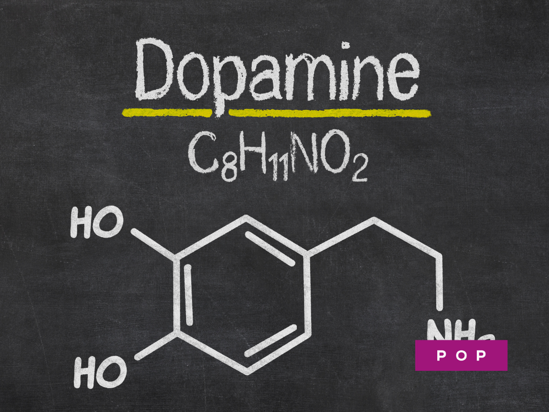 The magic and the dark side of the dopamine effect