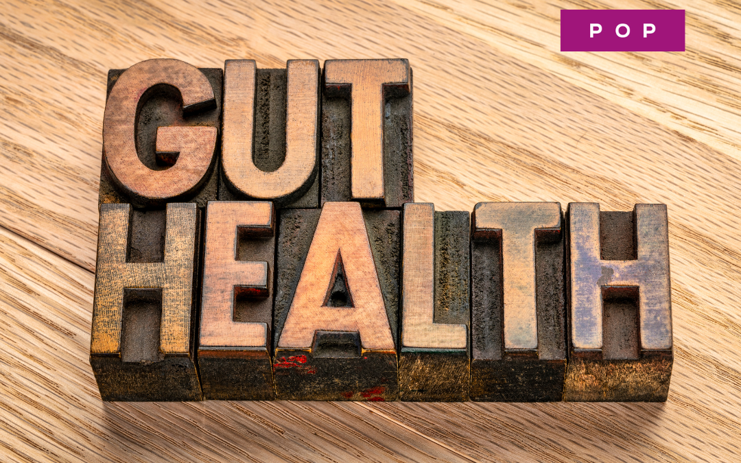 Introducing Gut Health Problems …