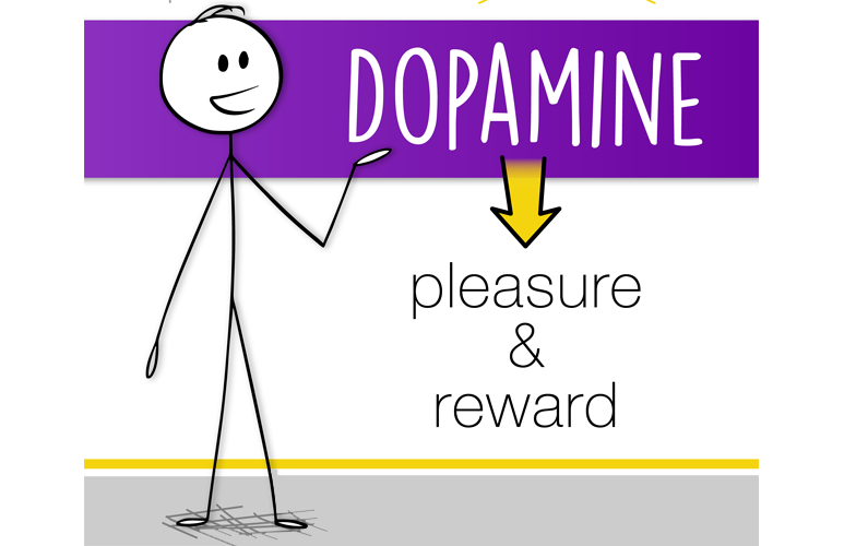Neurotransmitter Series Part 1: Dopamine