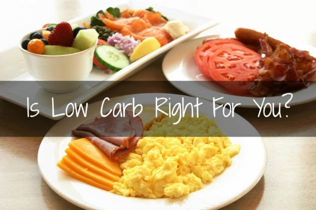 Is a Low Carb Nutrition Program Right For You??