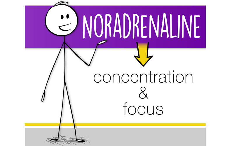 Neurotransmitter Series Part 2: Noradrenaline