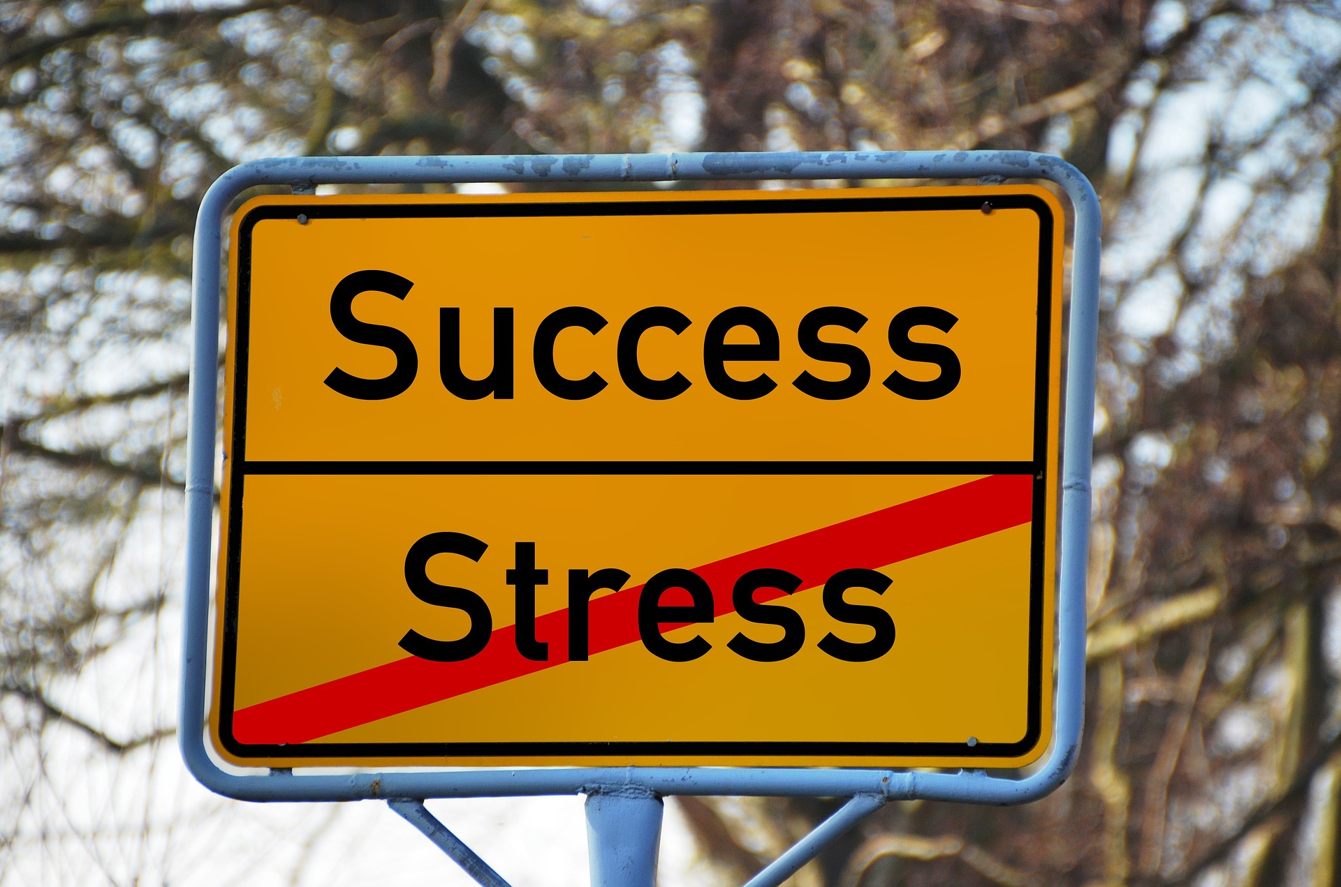 Get rid of stress and get success